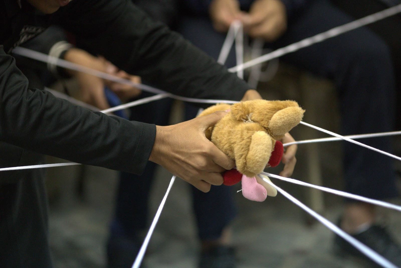 Manos de estudiantes sosteniendo un peluche en la dinámica de la red durante un taller